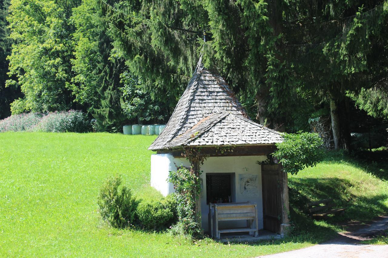 Villa Ellmauhof Pfarrwerfen Exterior foto